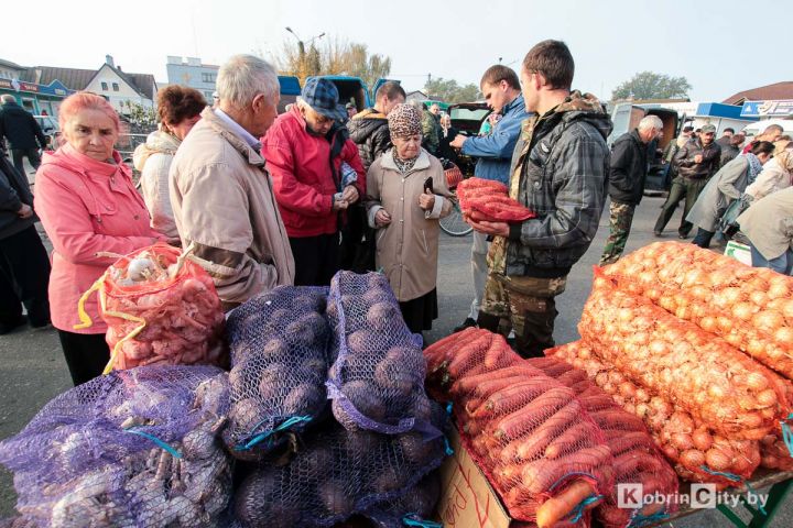Осенние ярмарки овощей в Кобринском районе начнутся 30 сентября: где и когда купить сельхозпродукцию