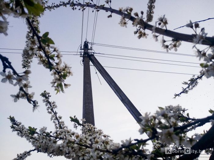 Плановые отключения электроэнергии в Кобринском районе с 12 по 15 мая 2021 года