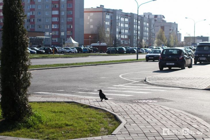 Обращения белорусов в КГК принесли результаты: что изменилось в Кобрине и в Брестской области?
