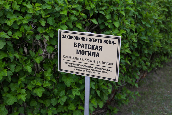 Камни, которые помнят: о чём молчат памятники войны в Кобрине