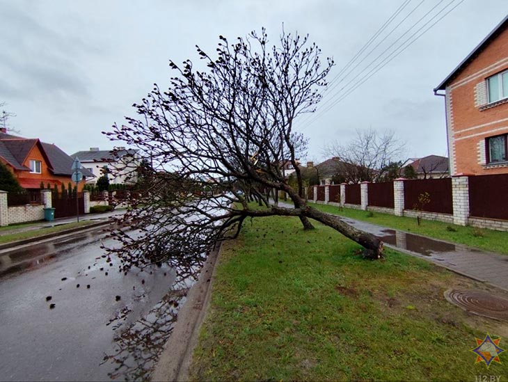 nepogoda 03 070426