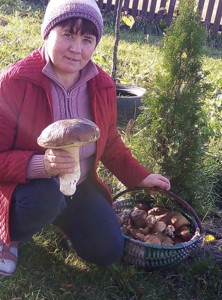 Гриб весом в 700 граммов нашла жительница Дрогичинского района