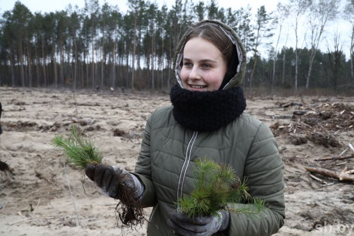 В Кобринском районе за 1 день высадили 15 тысяч деревьев в рамках акции «Неделя леса»