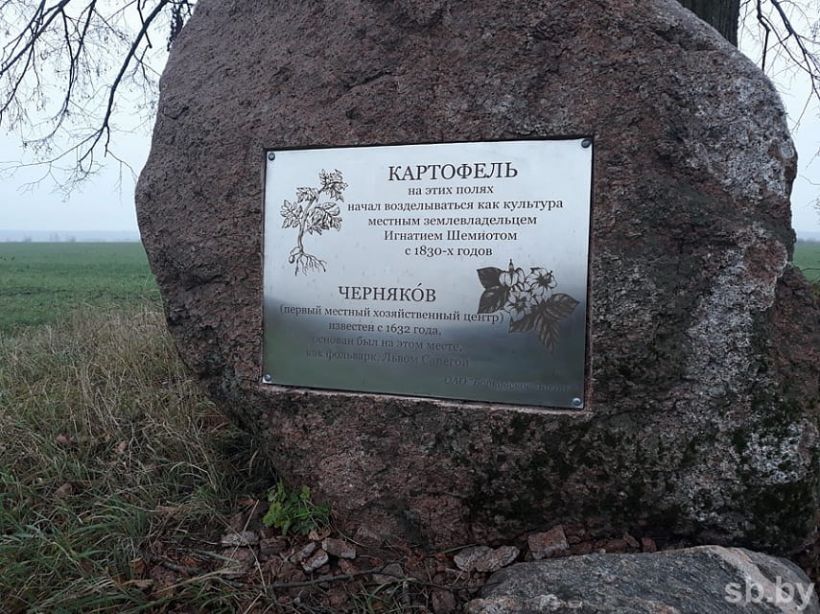 Первый в Беларуси памятник картошке появился на Брестчине (фото)