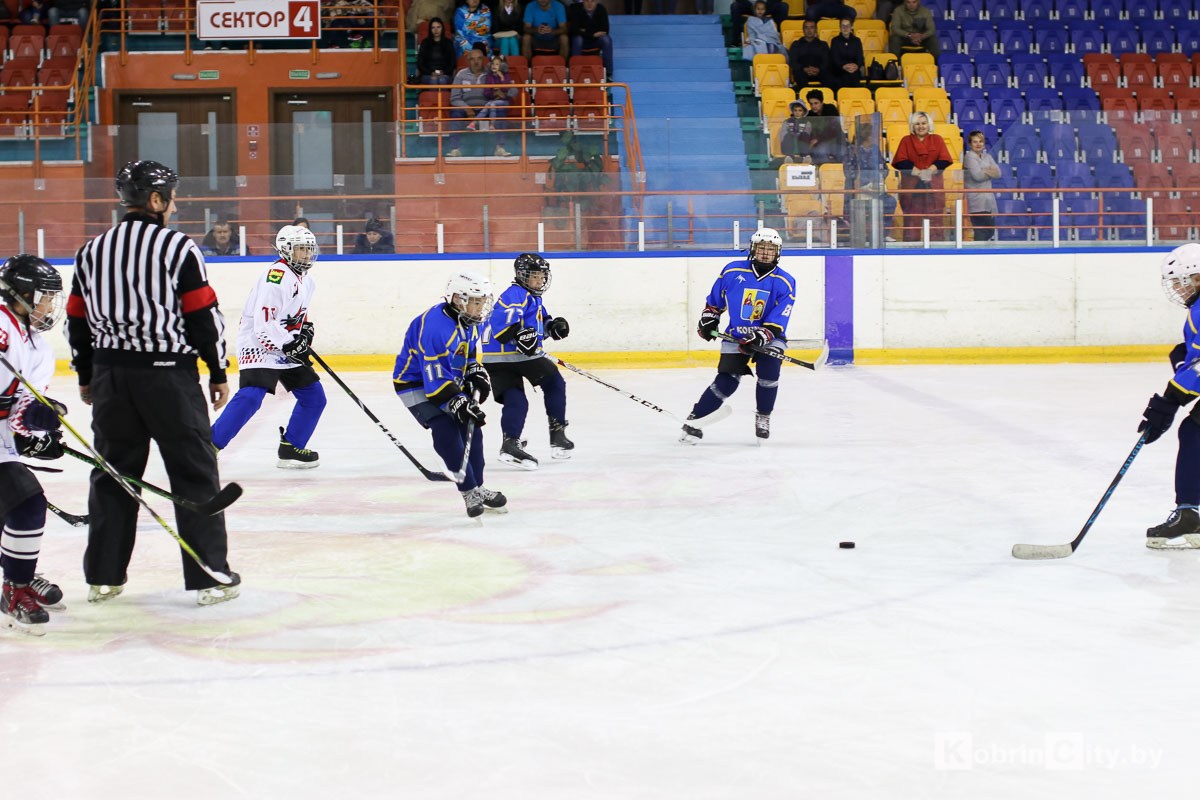 С 27 ноября меняется расписание массового катания и любительского хоккея в Ледовой арене