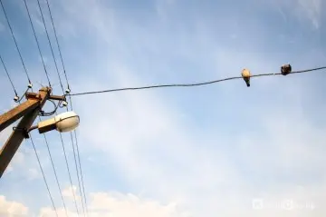 Проверьте свой адрес — плановые отключения электроэнергии в Кобрине и районе с 17 по 21 августа