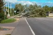 Упавшие деревья, сорванные крыши, поврежденные авто и свыше сотни населенных пунктов без света: последствия циклона «Приска»