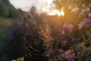 Лето не уходит: в последний день августа — до +31°C. Прогноз на выходные и начало осени