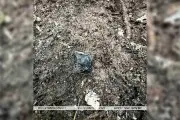 В Кобрине задержали 38-летнего местного жителя: наносил граффити наркошопа за дозу