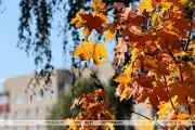 Лето ещё вернется? Синоптики рассказали, когда белорусам ждать +28 °С