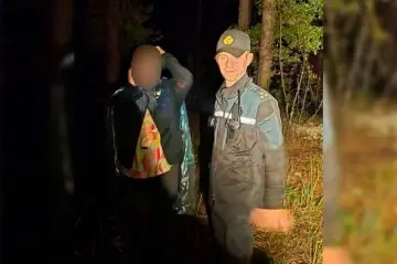 За сутки в лесах Беларуси нашли пятерых заблудившихся: все ушли за грибами и ягодами