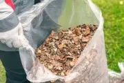 Зачем дачники оставляют мульчу на грядках и в каком случае она может навредить