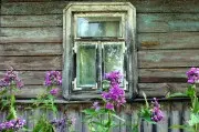 Более 200 пустующих домов обнаружили на Брестчине: почему их нет в реестре
