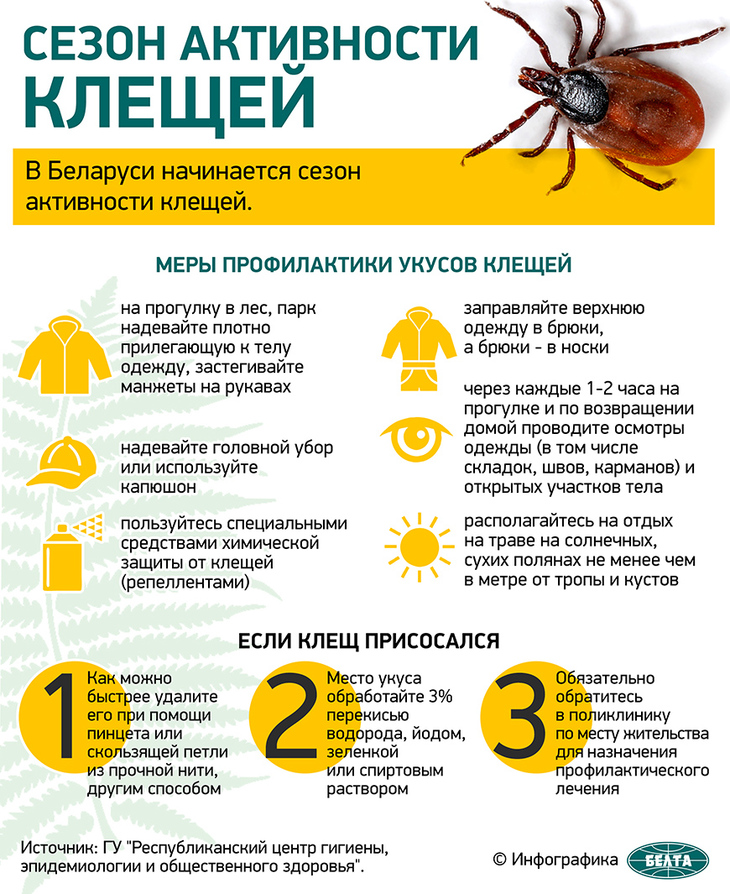kleshchi 1207